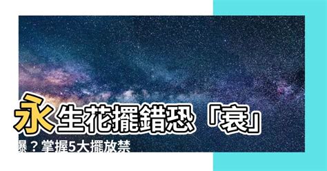 永生花 風水|【永生花 風水】永生花擺錯恐「衰」爆？掌握5大擺放禁忌，轉運。